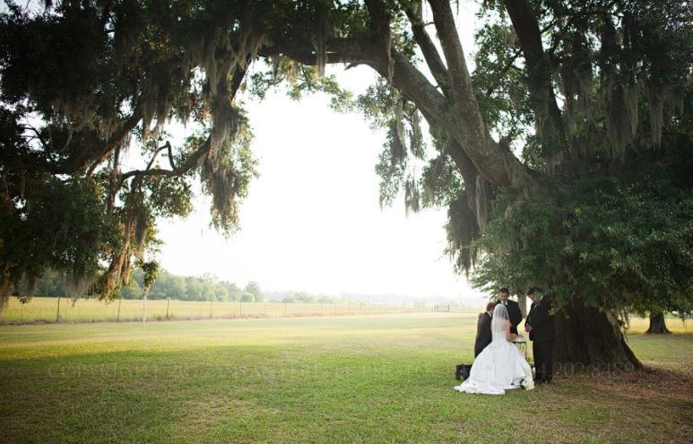 The Oaks Plantation - 1