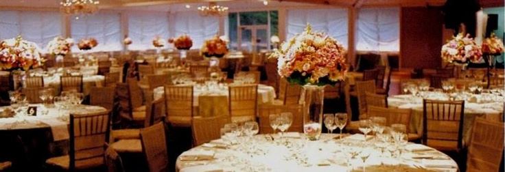 Pine Tree Country Club - 7