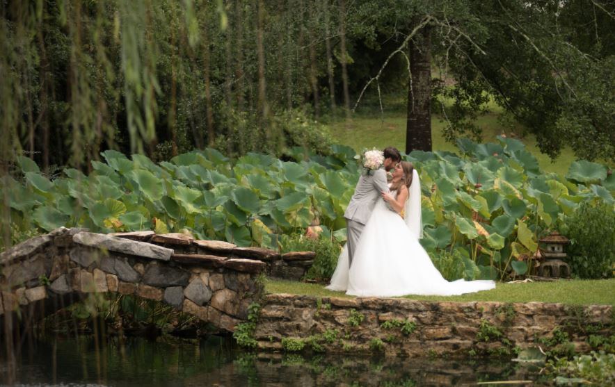 Springdale Estate - 1