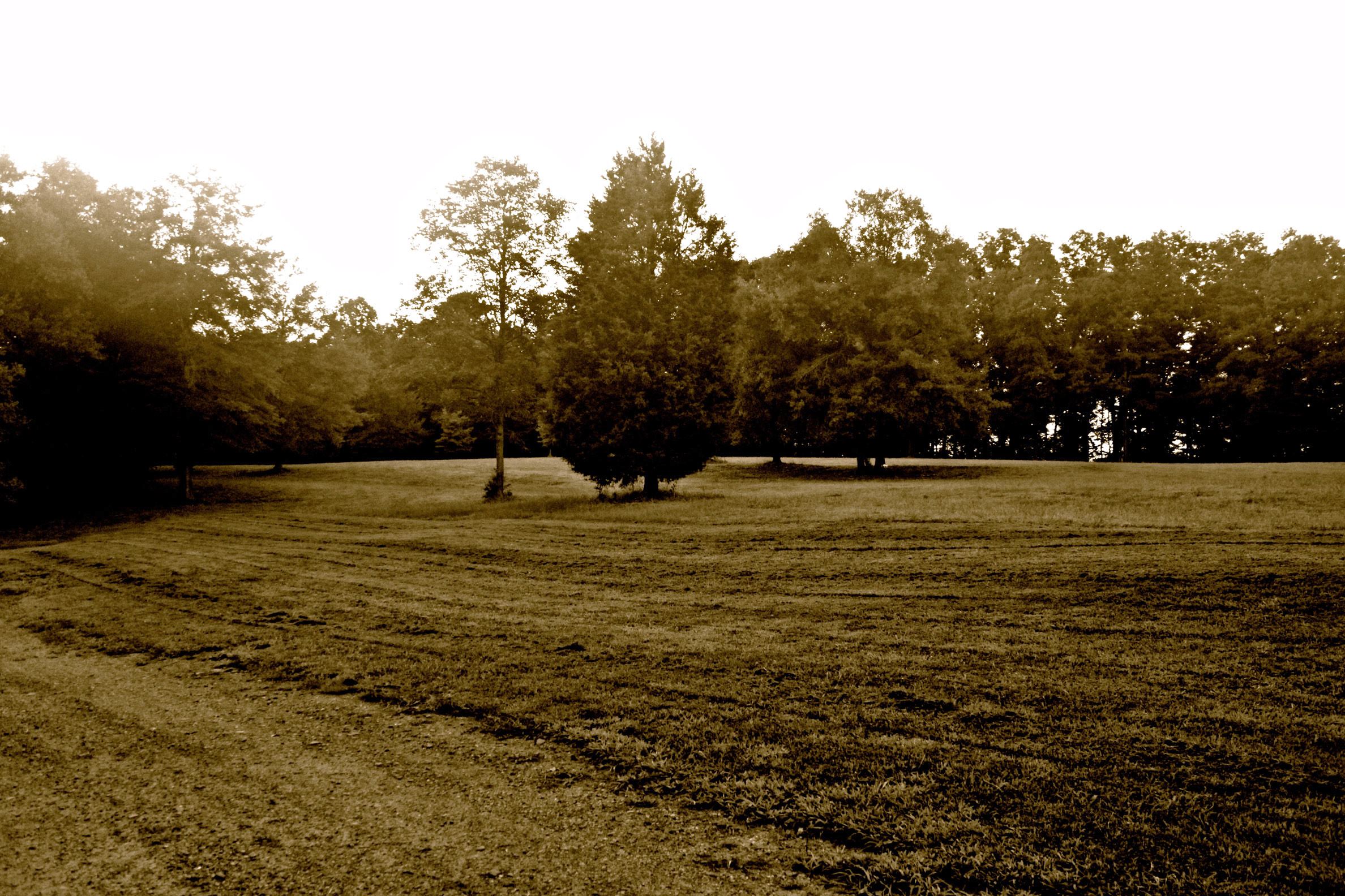 The Music Camp Spartanburg SC - 7