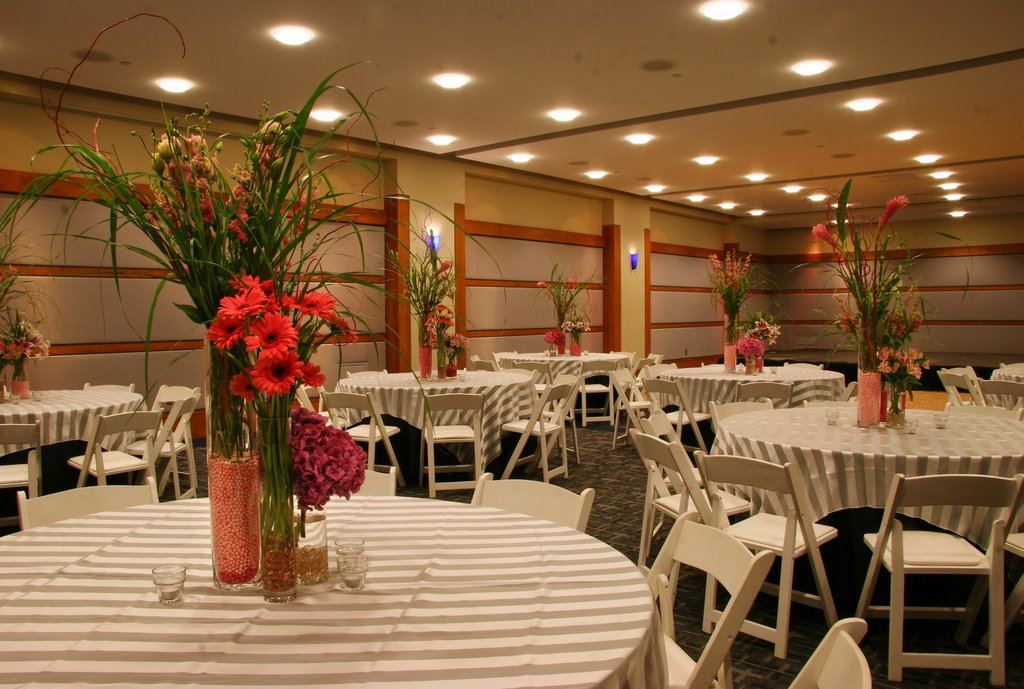 McWane Science Center - 7