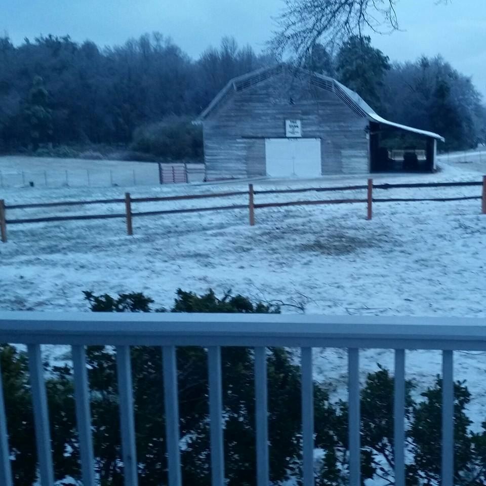 The Barn at Forevermore Farm - 6