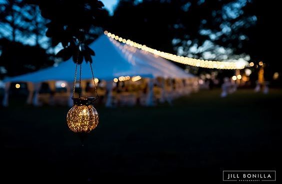 The Mitchell Plantation - 4