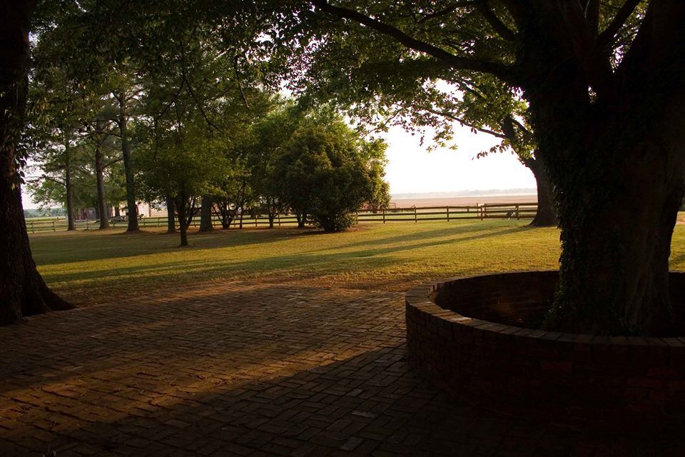 The Mitchell Plantation - 5