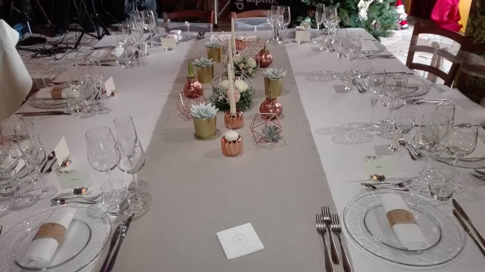 Tenuta di Violina - 6