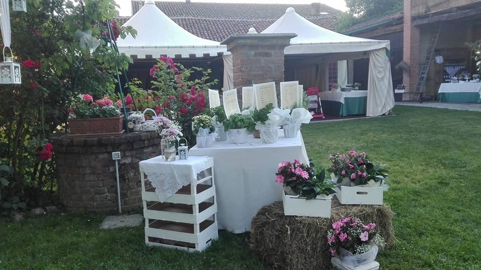 Tenuta di Violina - 3