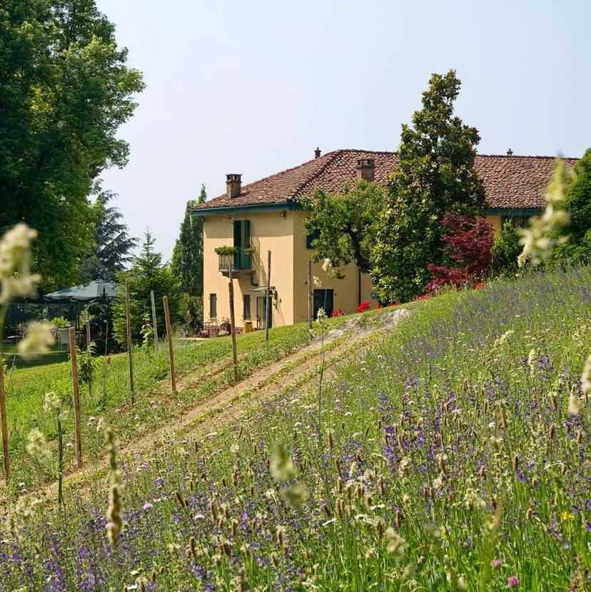 Tenuta di Violina - 7