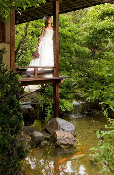 Anderson Japanese Gardens - 3