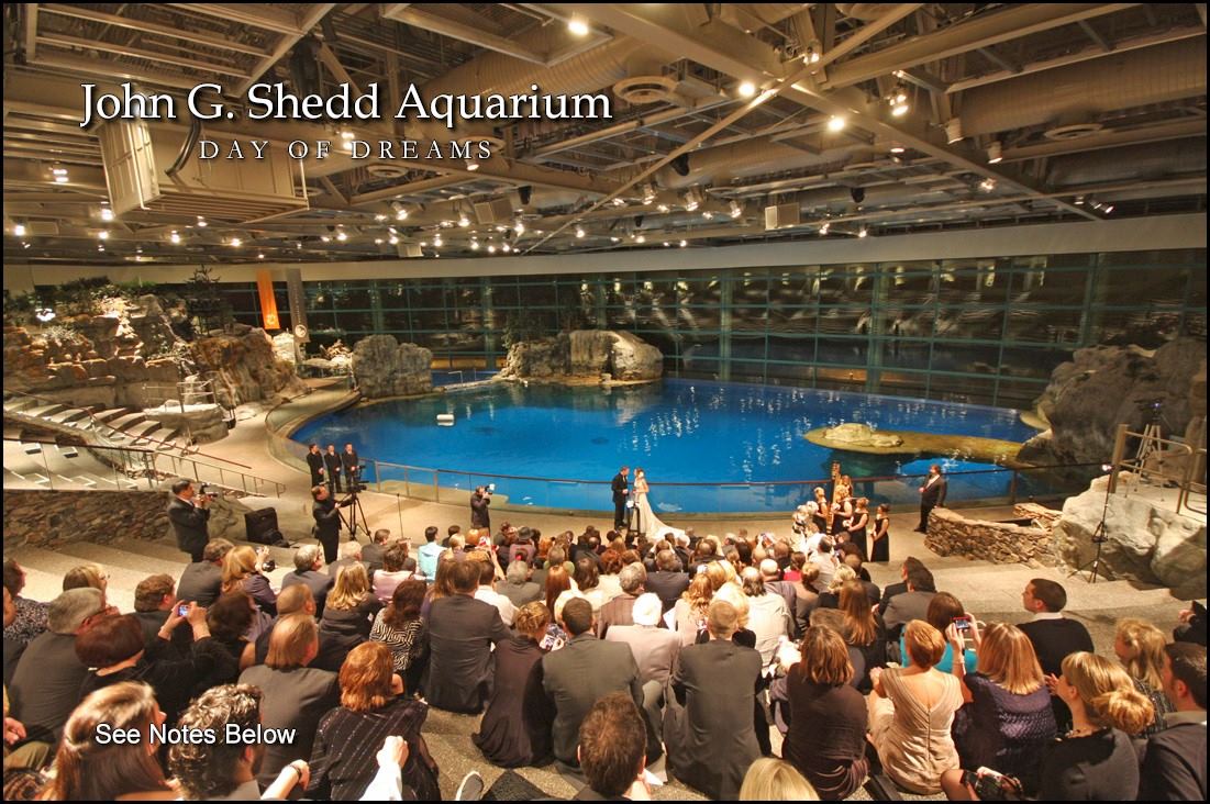 shedd aquarium, chicago, illinois, wedding venue