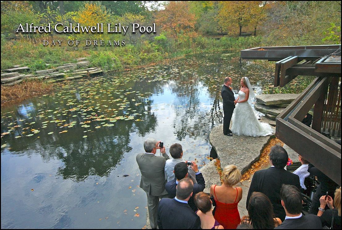 Alfred Caldwell Lily Pool - 3