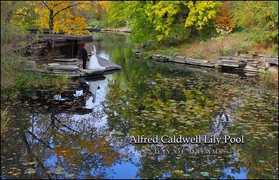 Alfred Caldwell Lily Pool - 7