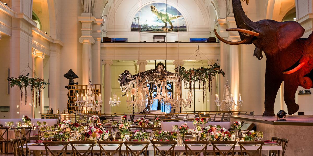 The Field Museum - 5