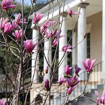 Gardens of the Hampton-Prestion Mansion - 1