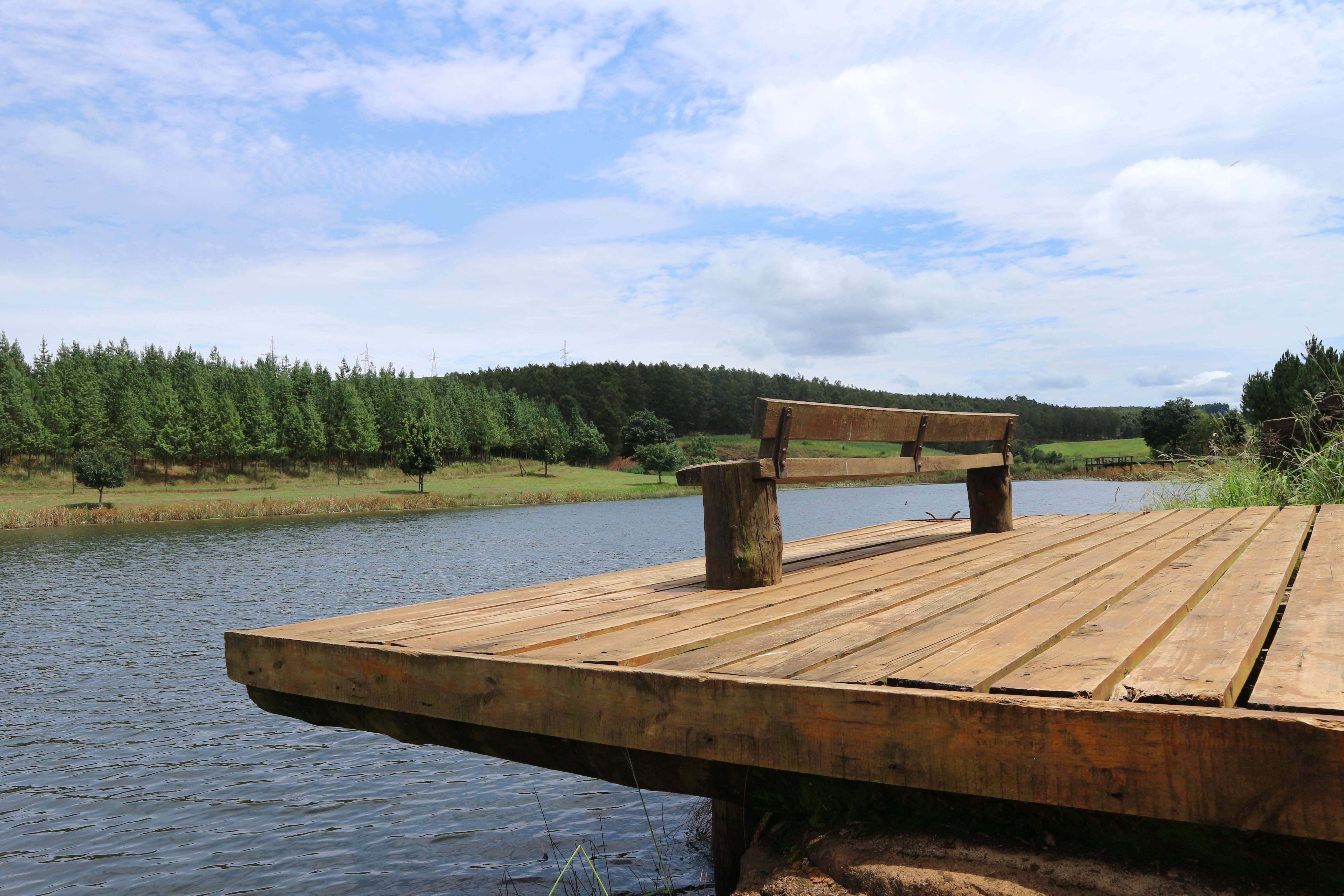 Torwoodlea Lodge - 7