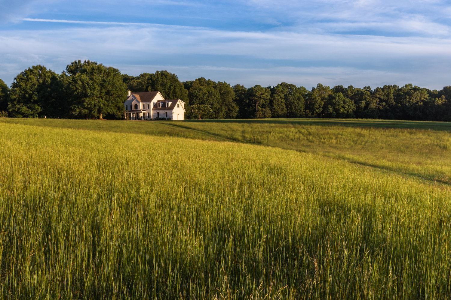 The Meadows At Firefly Farm Preserve - 5