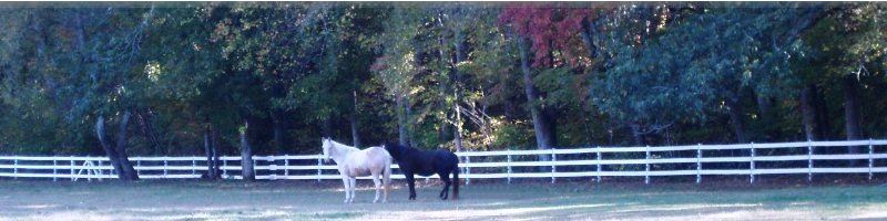 Willow Creek Conservatory - 5