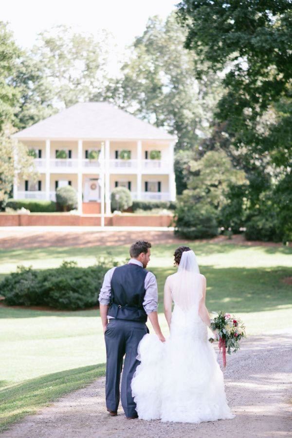 Tyger Pines Arabians - 7