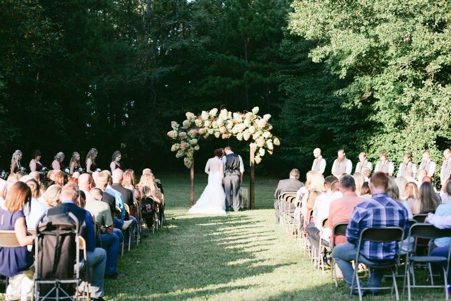 Tyger Pines Arabians - 3