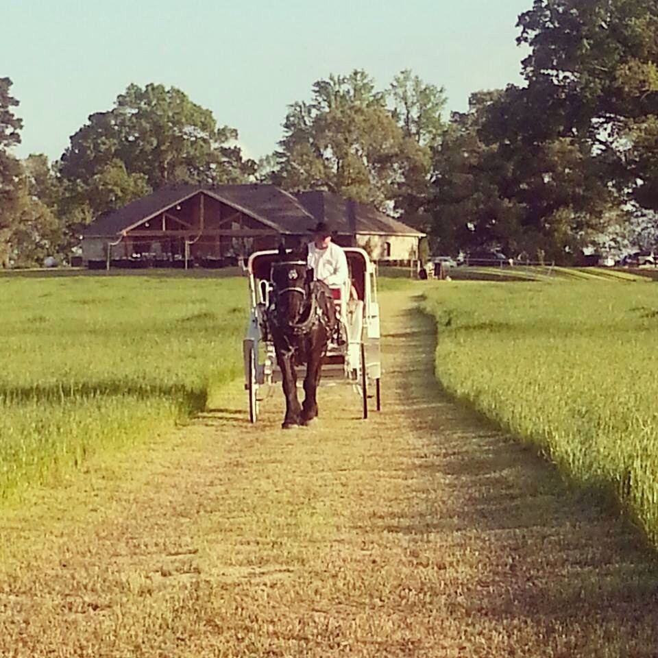 Ranch House Events at Saddler Ranch - 3