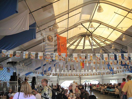 The Phoenix Club - 4