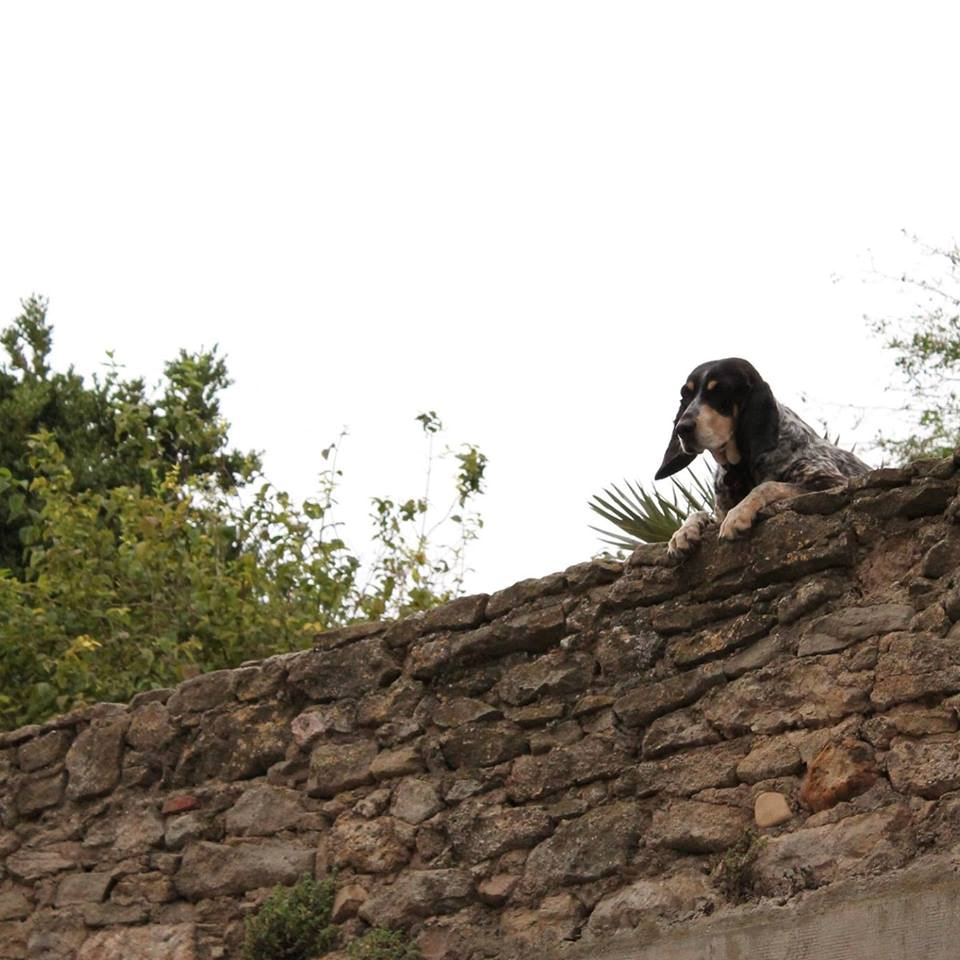 Boat Street Kitchen and Bistro - 1