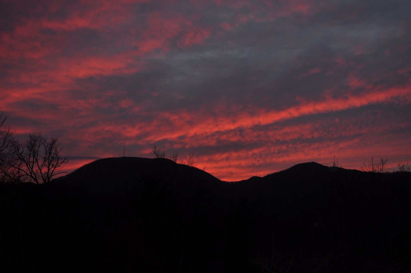 Song Hill Reserve - 5