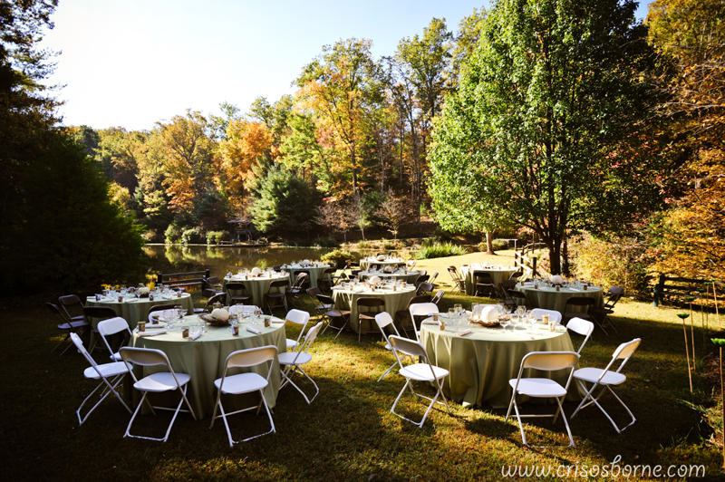 Song Hill Reserve - 3