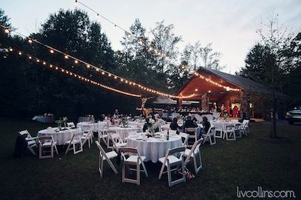 Song Hill Reserve - 6