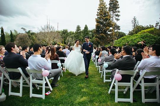 Markovino Vineyard Estate - 7