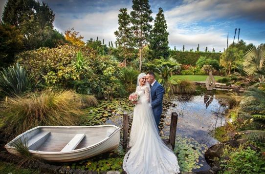 Markovino Vineyard Estate - 1