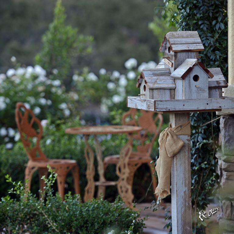 Forever and Always Farm - 3