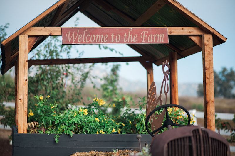 Forever and Always Farm - 5