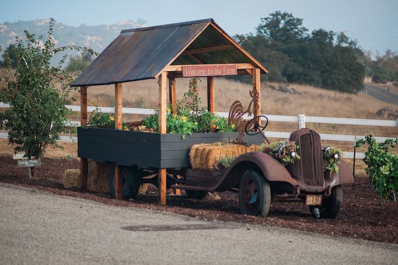 Forever and Always Farm - 6