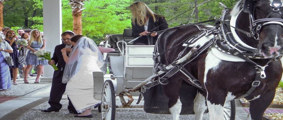 Richmond Hill City Center - 2