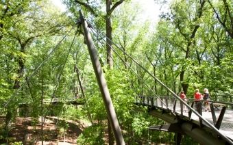 Atlanta Botanical Garden - 5