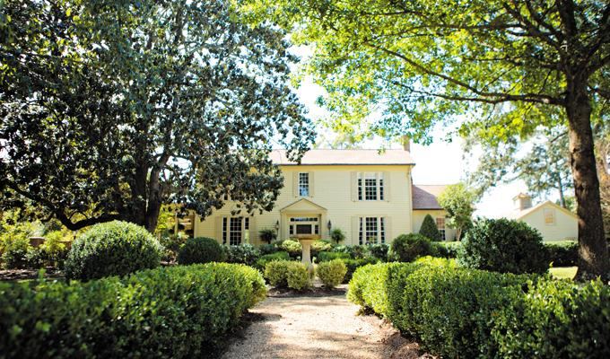 Vinewood Plantation - 4