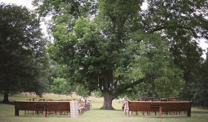 Vinewood Plantation - 2