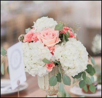 Little River Farms - 6