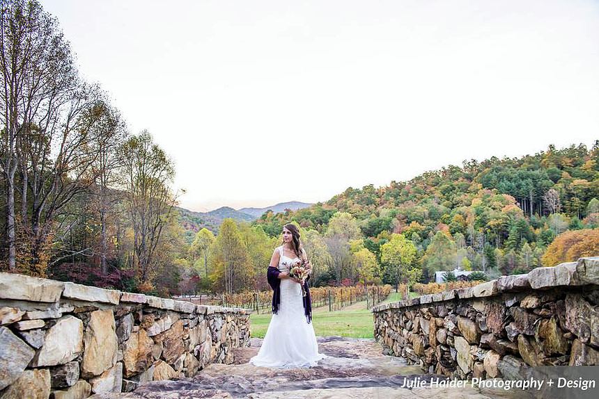Vineyards at Betty's Creek - 4