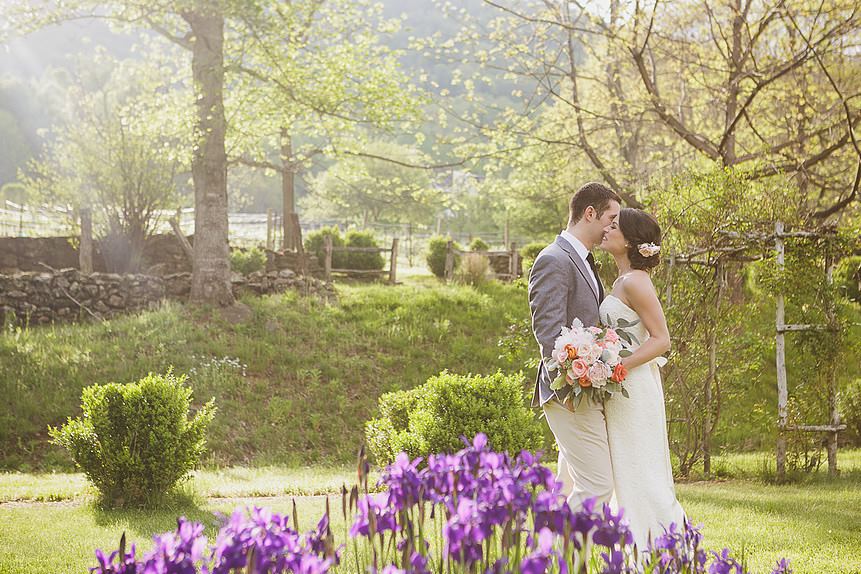 Vineyards at Betty's Creek - 1