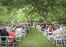 Vineyards at Betty's Creek - 2