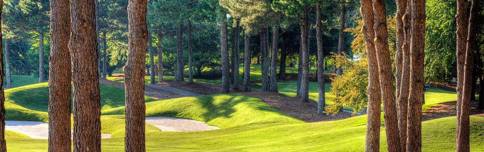 St Ives Country Club - 4