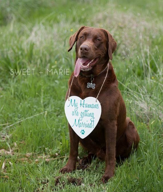 The Barn at Sierra Springs - 5