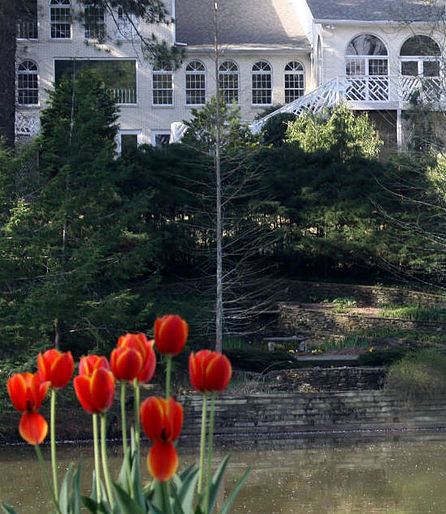 Vines Mansion and Wedding Chapel - 4