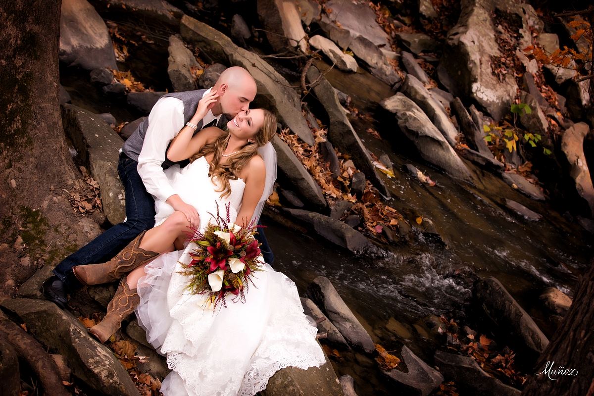 Four Fillies Lodge - 7