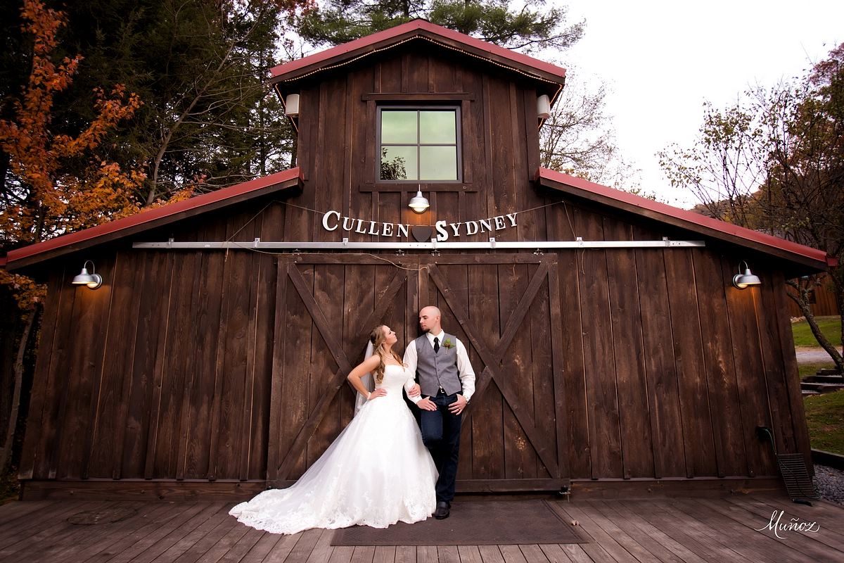 Four Fillies Lodge - 1