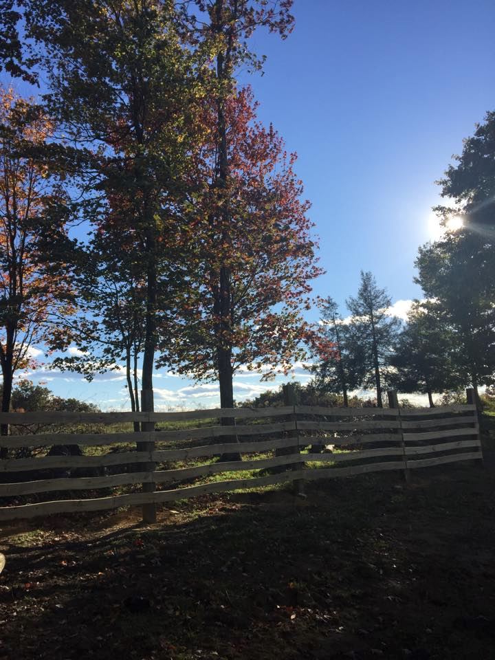 Spring Creek Farms - 7