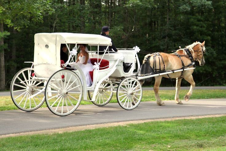 Resort at Glade Springs - 4