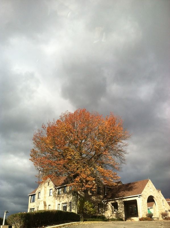 Williams Country Club - 5