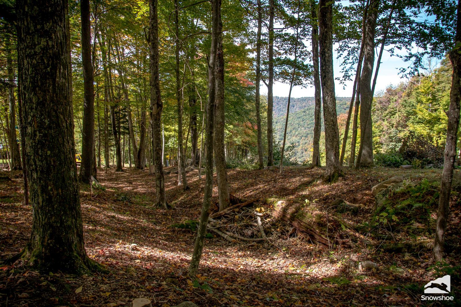 Sunrise Backcountry Cabin - SnowShoe Mountain Resort - 7